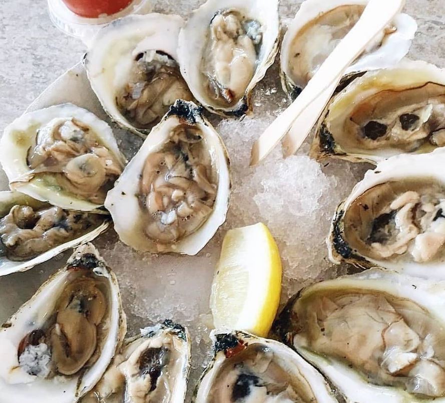 https://medicinabasica.com/wp-content/uploads/2020/11/How-to-Eat-Raw-Oysters.jpg