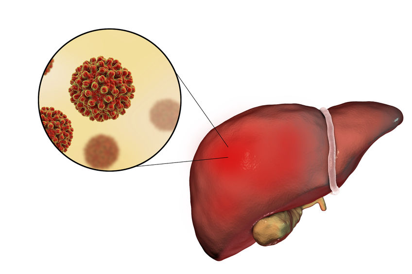 ¿Cómo se transmite la hepatitis B?